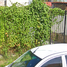 3 Bedroom House for sale in Chapala, Jalisco, Chapala