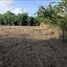  Land for sale in Bolivar, Turbaco, Bolivar