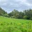 Terreno (Parcela) en venta en Chile, Puerto Varas, Llanquihue, Los Lagos, Chile