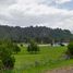  Terreno (Parcela) en venta en Aisén del General Carlos Ibáñez del Campo, Aisen, Aisén, Aisén del General Carlos Ibáñez del Campo
