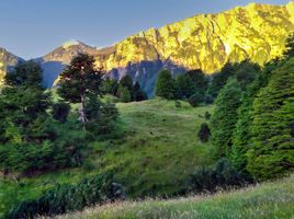  Terreno (Parcela) en venta en Aisén del General Carlos Ibáñez del Campo, Aisen, Aisén, Aisén del General Carlos Ibáñez del Campo