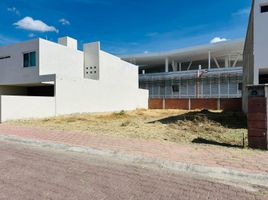  Terreno (Parcela) en venta en Salamanca, Guanajuato, Salamanca
