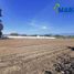  Land for sale in Yautepec, Morelos, Yautepec