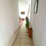 Appartement 3 chambre à vendre à Miguel Hidalgo, Mexico City, Miguel Hidalgo, Mexico City, Mexique