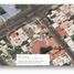 Villa 4 chambre à vendre à Veracruz, Veracruz, Veracruz, Veracruz