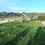  Land for sale in Duitama, Boyaca, Duitama