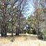  Land for sale in Cuautlancingo, Puebla, Cuautlancingo