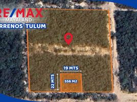  Terreno (Parcela) en venta en Cozumel, Quintana Roo, Cozumel