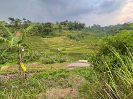  Tanah for sale in Bandung, West Jawa, Padalarang, Bandung