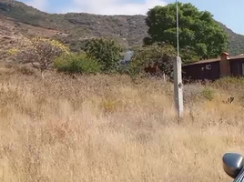  Land for sale in Santa Cruz De Juventino Rosas, Guanajuato, Santa Cruz De Juventino Rosas