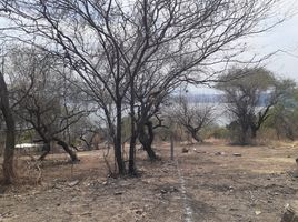  Land for sale in Amacuzac, Morelos, Amacuzac