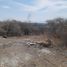  Land for sale in Amacuzac, Morelos, Amacuzac