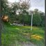  Land for sale in Reynosa, Tamaulipas, Reynosa