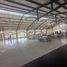  Hotel en alquiler en México, San Agustin Tlaxiaca, Hidalgo, México