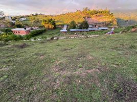 Villa à vendre à Floridablanca, Santander, Floridablanca, Santander