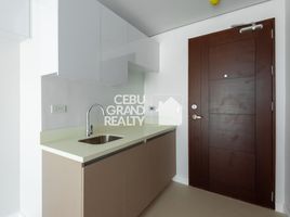 1 Bedroom Condo for sale in Cebu, Central Visayas, Cebu City, Cebu