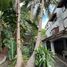  Land for sale in Mandaluyong City, Metro Manila, Mandaluyong City