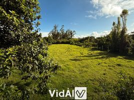  Terrain for sale in Antonio Ante, Imbabura, San Jose De Chaltura, Antonio Ante