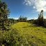  Terrain for sale in Antonio Ante, Imbabura, San Jose De Chaltura, Antonio Ante