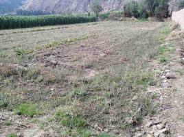  Terrain for sale in Urubamba, Cusco, Yucay, Urubamba