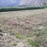  Terrain for sale in Urubamba, Cusco, Yucay, Urubamba