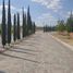  Land for sale in Lagos De Moreno, Jalisco, Lagos De Moreno