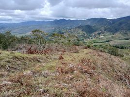  Terreno (Parcela) en venta en Dagua, Valle Del Cauca, Dagua