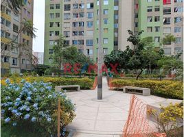 在Comas, Lima出售的3 卧室 住宅, Comas