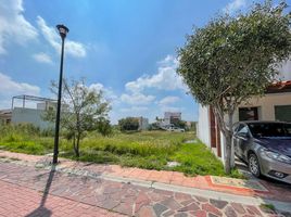  Grundstück zu verkaufen in El Marques, Queretaro, El Marques