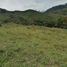  Villa for sale in Alejandria, Antioquia, Alejandria