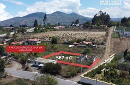  Land for sale in Montalvo, Ambato, Montalvo