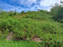  Terreno (Parcela) en venta en Guadalajara De Buga, Valle Del Cauca, Guadalajara De Buga