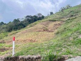  Grundstück zu verkaufen in Palmira, Valle Del Cauca, Palmira