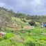  Land for sale in Palmira, Valle Del Cauca, Palmira