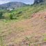  Land for sale in Palmira, Valle Del Cauca, Palmira