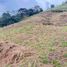  Land for sale in Palmira, Valle Del Cauca, Palmira