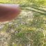  Grundstück zu verkaufen in San Luis Potosi, San Luis Potosi, San Luis Potosi, San Luis Potosi