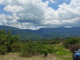  Grundstück zu verkaufen in Joquicingo, Mexico, Joquicingo
