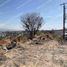  Grundstück zu verkaufen in Leon, Guanajuato, Leon, Guanajuato