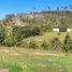  Terreno (Parcela) en venta en Chile, Los Muermos, Llanquihue, Los Lagos, Chile