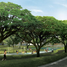 Terrain à vendre à Las Pinas City, Metro Manila, Las Pinas City