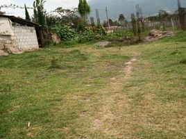  Terrain for sale in Antonio Ante, Imbabura, San Fco De Natabuela, Antonio Ante