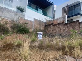  Grundstück zu verkaufen in Morelia, Michoacan, Morelia