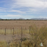  Land for sale in Caborca, Sonora, Caborca