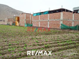  Land for sale in San Martin De Porres, Lima, San Martin De Porres