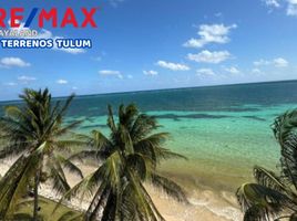  Grundstück zu verkaufen in Puerto Morelos, Quintana Roo, Puerto Morelos