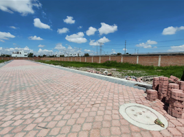  Grundstück zu verkaufen in Toluca, Mexico, Toluca