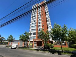 3 Habitación Apartamento en venta en Nueva Imperial, Cautín, Nueva Imperial