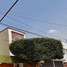 4 Schlafzimmer Haus zu verkaufen in Coyoacan, Mexico City, Coyoacan