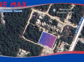 Terreno (Parcela) en venta en Cozumel, Quintana Roo, Cozumel
